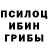 Псилоцибиновые грибы ЛСД tooba bring