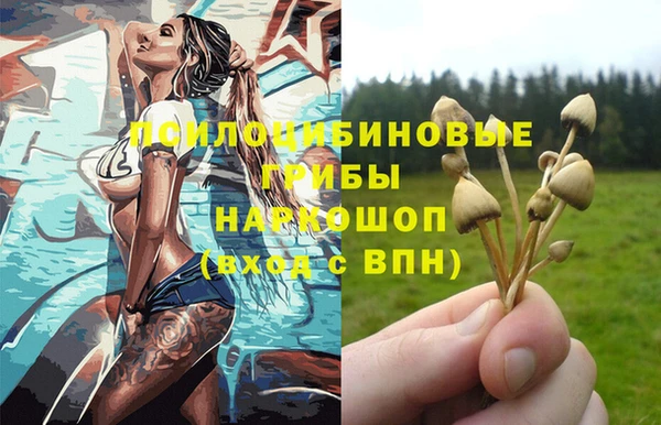 винт Алексин